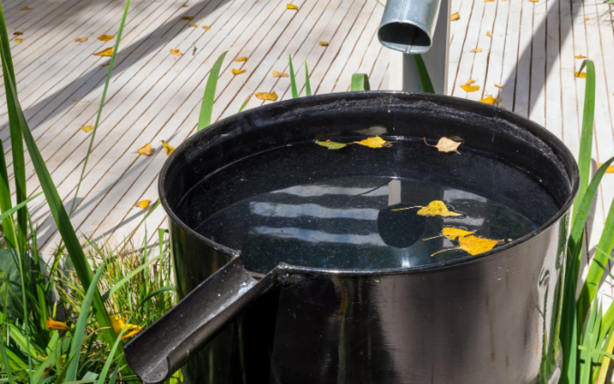 Schoonmaken met regenwater – slimme duurzame keuze of stiekem riskant?